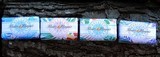corsica essences savon